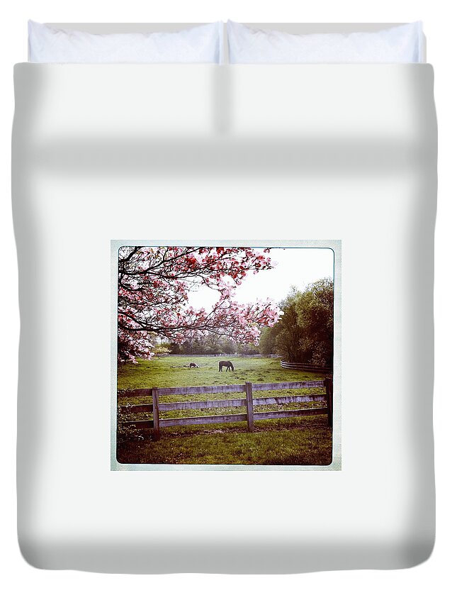 Horse Duvet Cover featuring the photograph Horse Grazing In Pasture by Monica Fecke