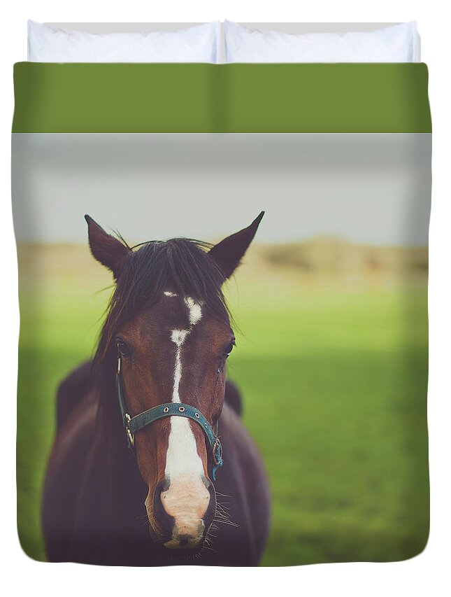 Horse Duvet Cover featuring the photograph Horse In Green Field by Kay Maguire