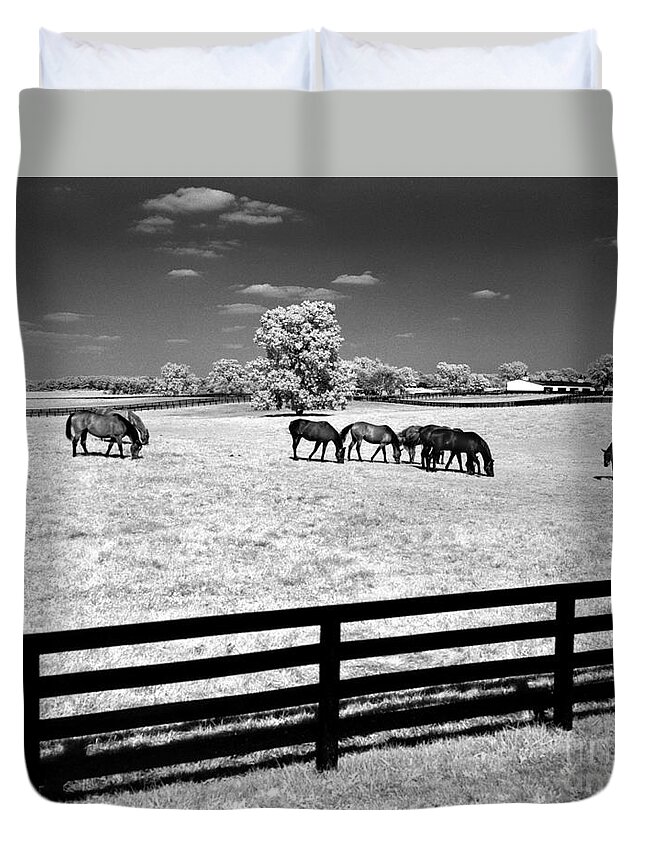 Horses Duvet Cover featuring the photograph Horse Pasture Infrared by Martin Konopacki