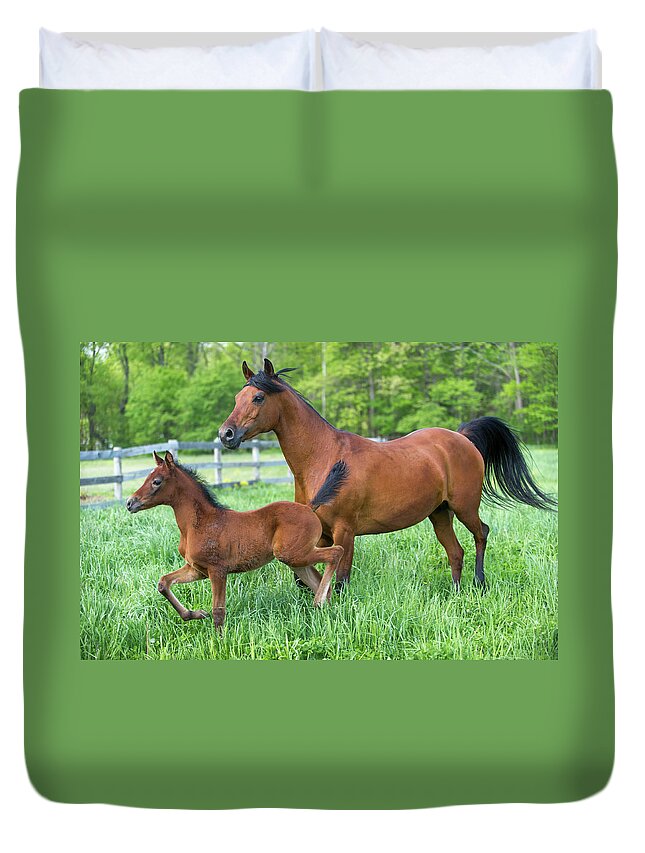 Horse Duvet Cover featuring the photograph Horses In High Green Grass Pasture by Catnap72
