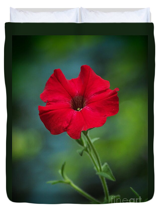 Flowers Duvet Cover featuring the photograph Hot Petunia In The Cool Shadows by Dorothy Lee