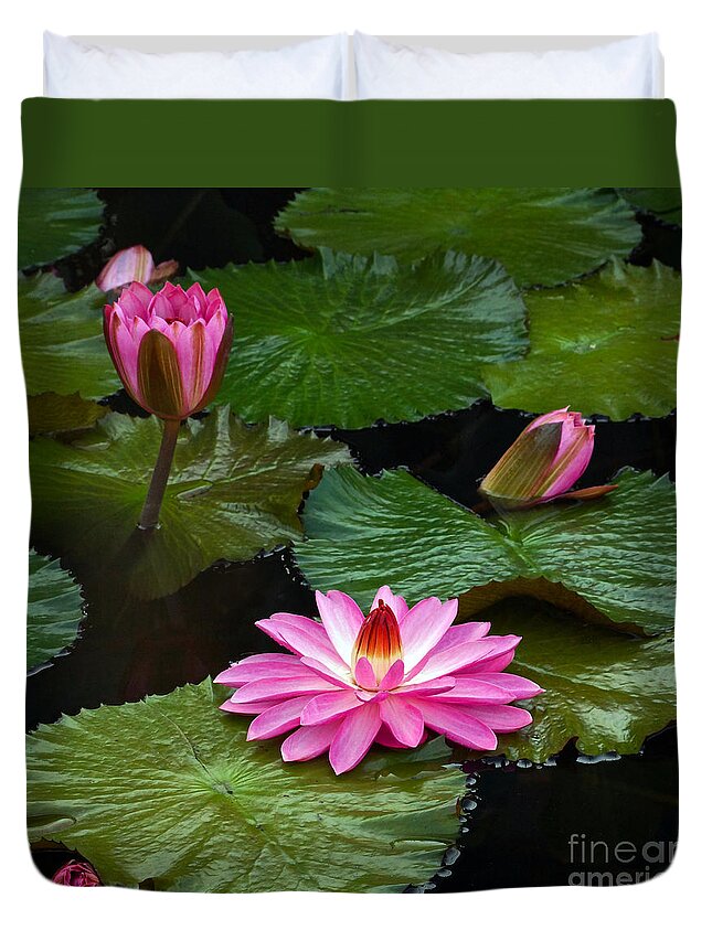Hot Pink Duvet Cover featuring the photograph Hot Pink And Green Tropical Waterlilies by Byron Varvarigos