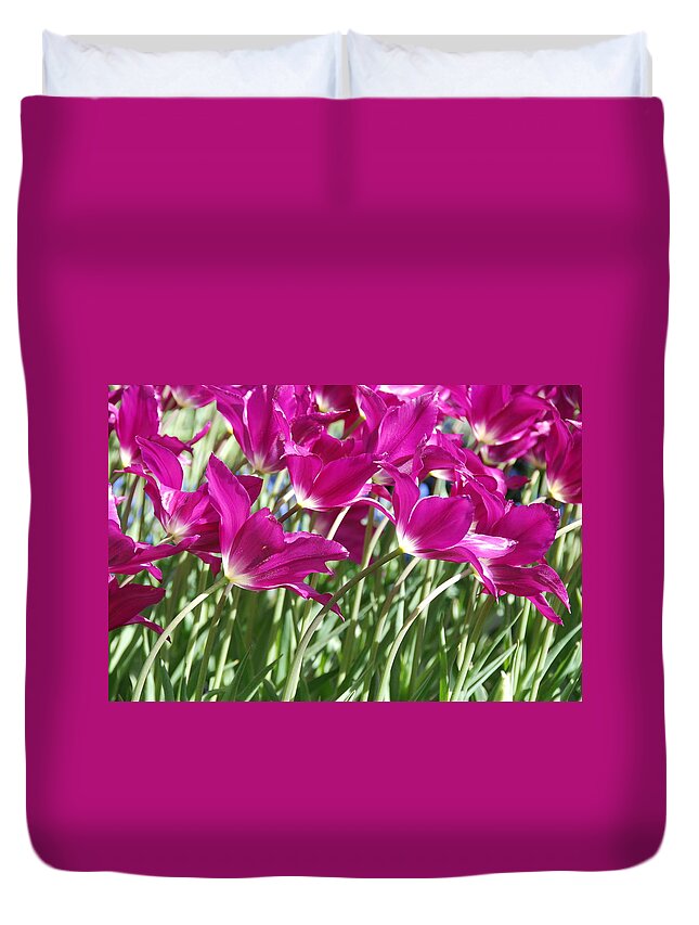 Hot Pink Tulips Duvet Cover featuring the photograph Hot Pink Tulips 2 by Allen Beatty