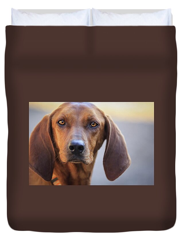 Animal Themes Duvet Cover featuring the photograph Hound With Piercing Eyes by Michele Sons