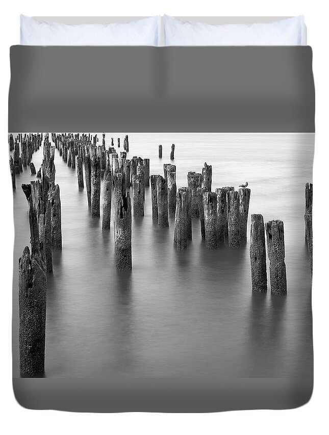 Hudson Duvet Cover featuring the photograph Hudson River Pilings by Bill Carson Photography