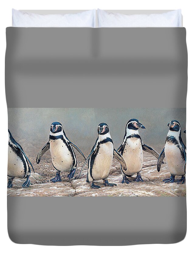 Animal Duvet Cover featuring the photograph Humboldt Penguins Standing In A Row by Ikon Ikon Images