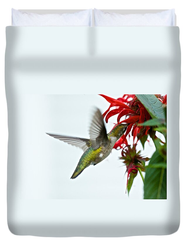 Birds Duvet Cover featuring the photograph Hummingbird Focused on the Scarlet Bee Balm by Kristin Hatt