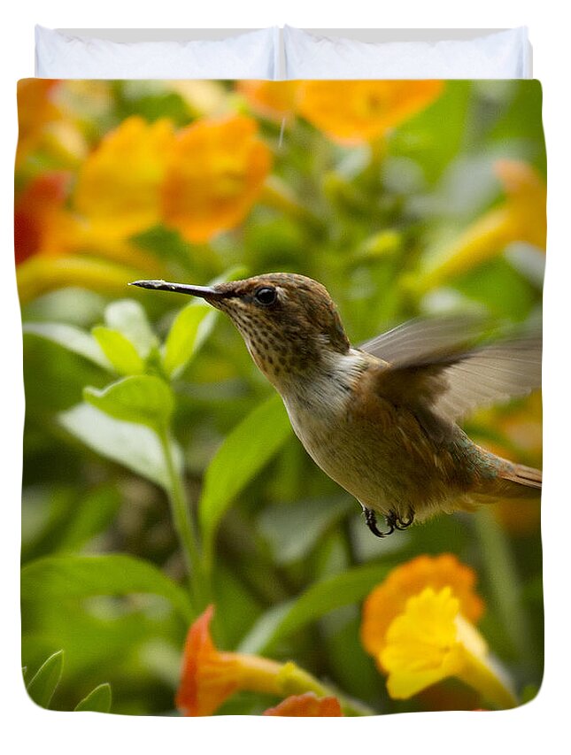 Bird Duvet Cover featuring the photograph Hummingbird looking for food by Heiko Koehrer-Wagner
