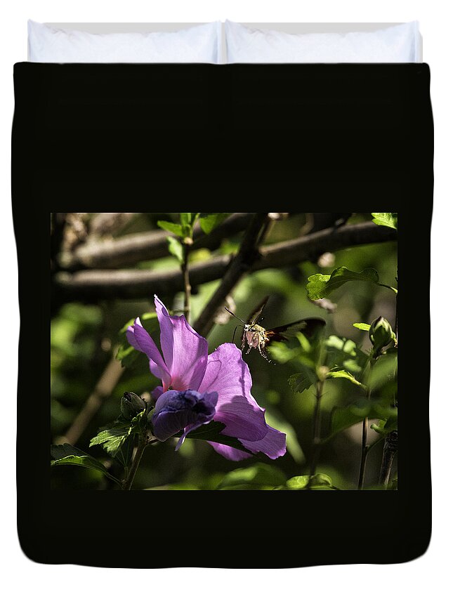 Hummingbird Moth Duvet Cover featuring the photograph Hummingbird Moth on Rose of Sharon by Michael Dougherty