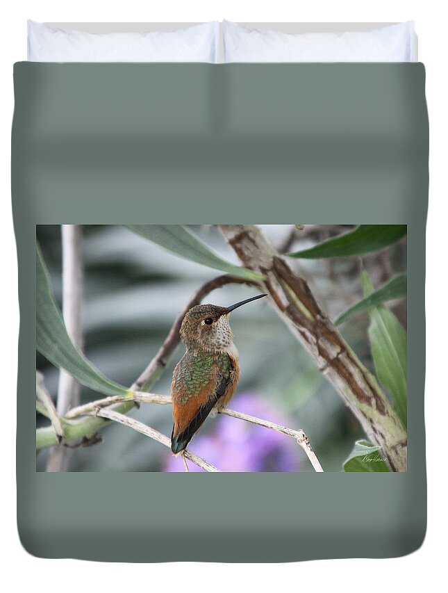 Hummingbird Duvet Cover featuring the photograph Hummingbird on a Branch by Diana Haronis