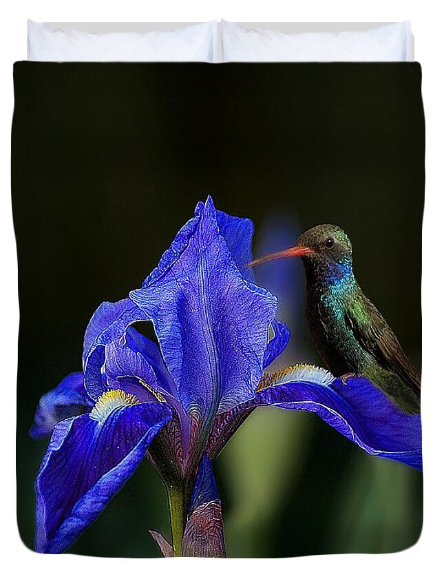 John+kolenberg Duvet Cover featuring the photograph Hummingbird On A Mexican Blue Exotic Flower by John Kolenberg