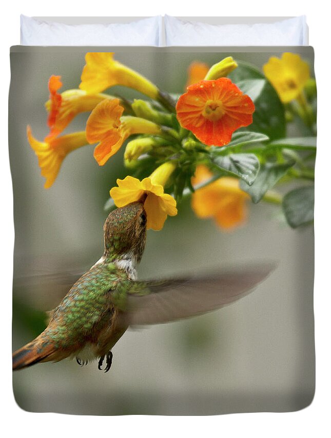 Bird Duvet Cover featuring the photograph Hummingbird sips Nectar by Heiko Koehrer-Wagner
