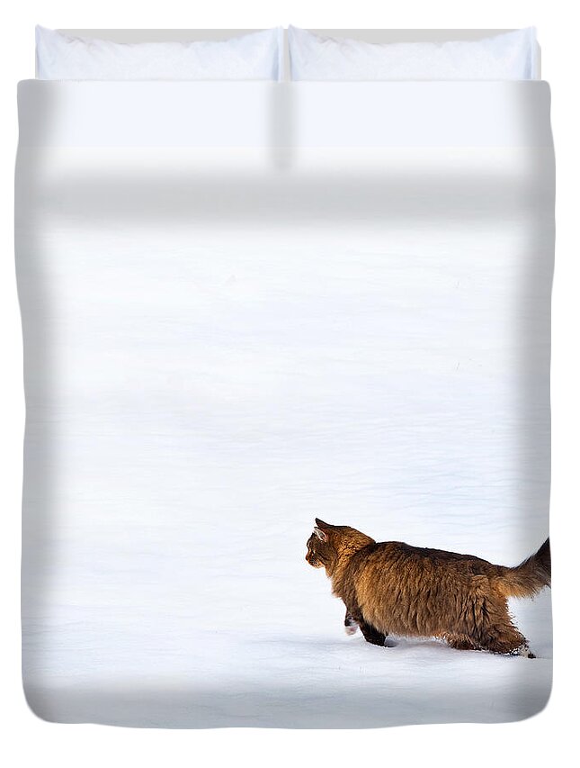 Domestic Cats Duvet Cover featuring the photograph Hunter At Work by Theresa Tahara