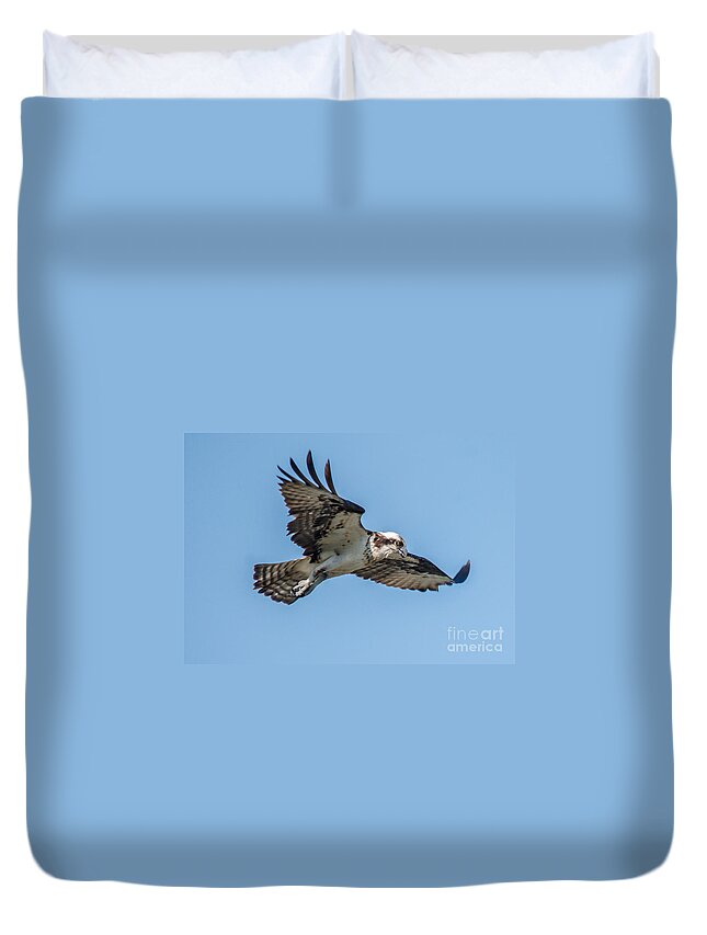Raptor Duvet Cover featuring the photograph Hunting Osprey by Cheryl Baxter