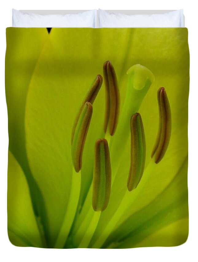 Hybrid Lily Duvet Cover featuring the photograph Hybrid Lily named Trebbiano by J McCombie