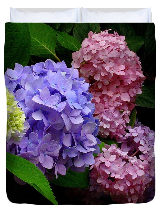 Fine Art Duvet Cover featuring the photograph Hydrangea Glow by Rodney Lee Williams