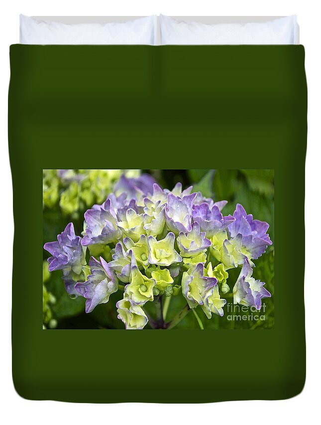Hydrangea Duvet Cover featuring the photograph Hydrangeas Galore by Gwyn Newcombe