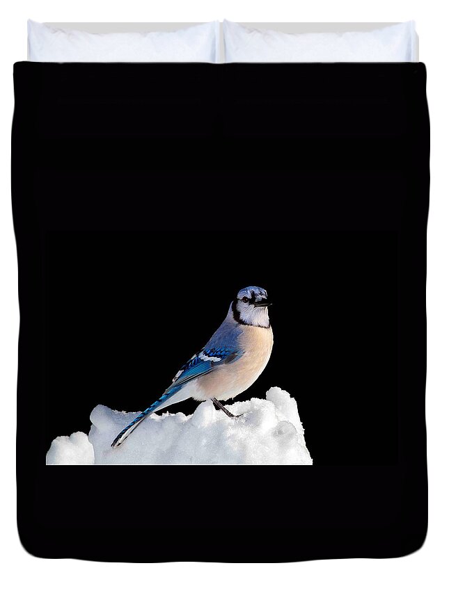Bird Duvet Cover featuring the photograph I Am So Done With Winter by John Absher