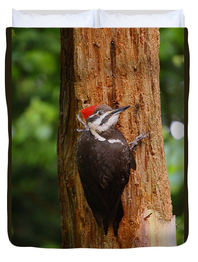 Birds Duvet Cover featuring the photograph I had to give this tree a hug by Kym Backland