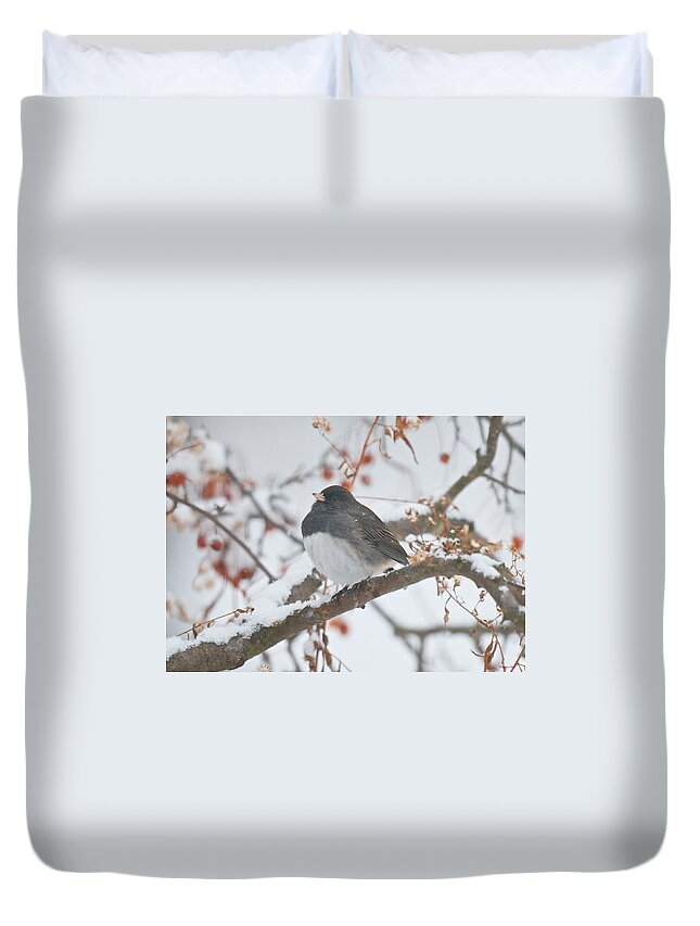Bird Duvet Cover featuring the photograph I Just Want to Keep Warm by Kristin Hatt