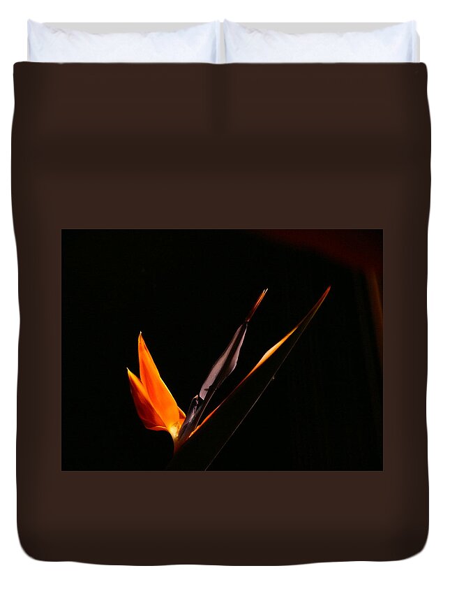 Bird Of Paradise Duvet Cover featuring the photograph I love you by Evelyn Tambour