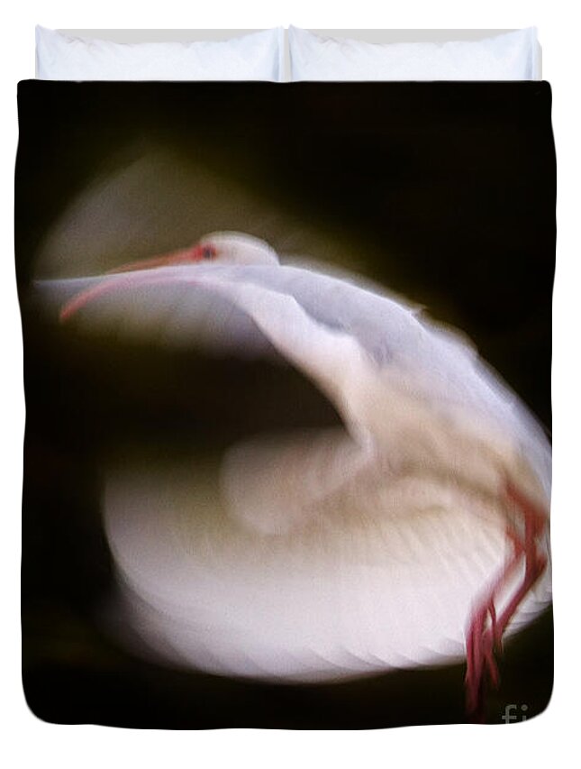 Threskiornis Spinicollis Duvet Cover featuring the photograph Ibis In Flight by J L Woody Wooden