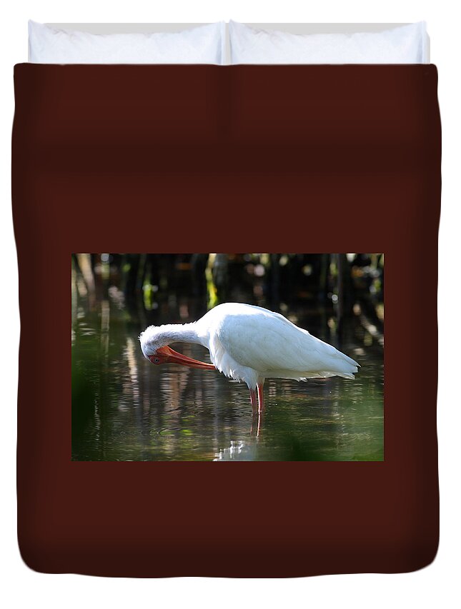 Ibis Preening Duvet Cover featuring the photograph Ibis Preening by Daniel Reed