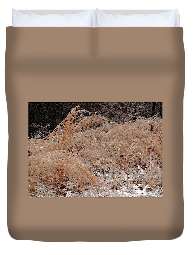 Ice Duvet Cover featuring the photograph Ice And Dry Grass by Daniel Reed