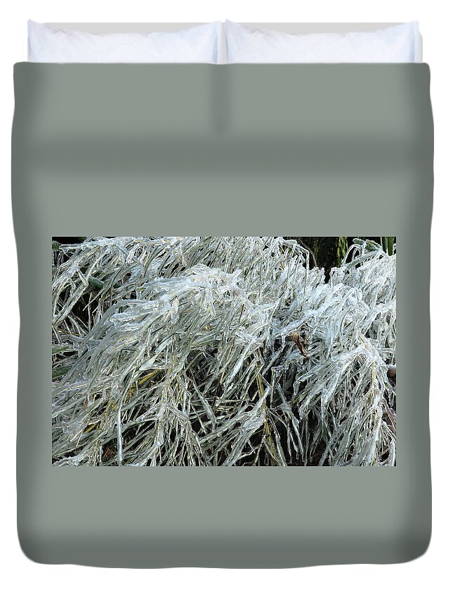 Ice Duvet Cover featuring the photograph Ice On Bamboo Leaves by Daniel Reed