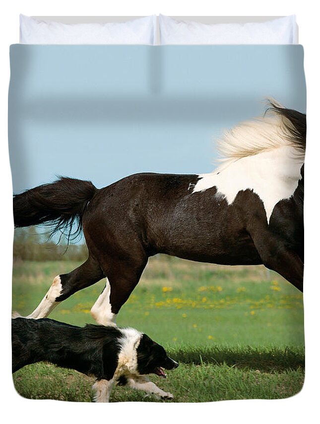 Icelandic Horse Duvet Cover featuring the photograph Icelandic Horse And Dog by Gabriele Boiselle