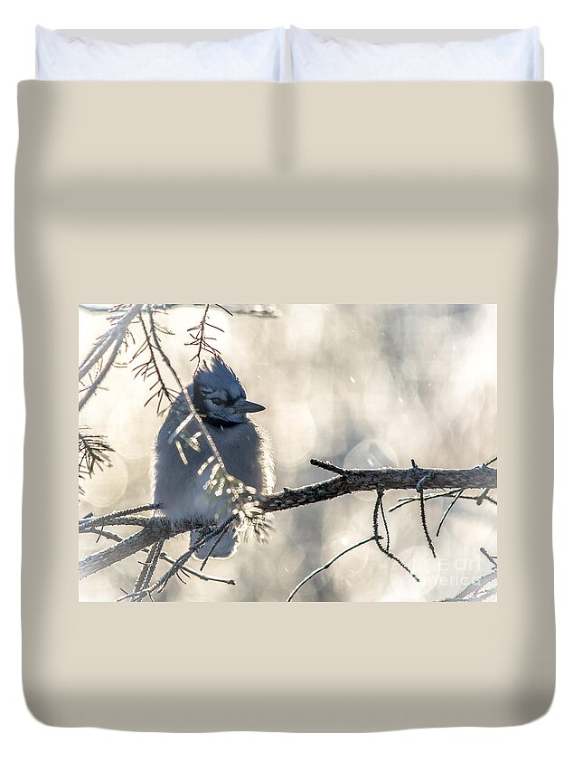 Bokeh Duvet Cover featuring the photograph Icy Jay by Cheryl Baxter