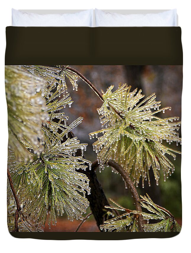 Ice Duvet Cover featuring the photograph Icy Pine by Mark McKinney