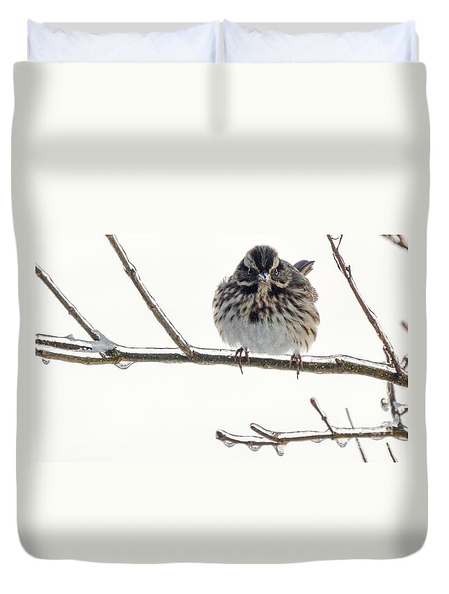 Sparrow Duvet Cover featuring the photograph Icy Sparrow by Lynellen Nielsen