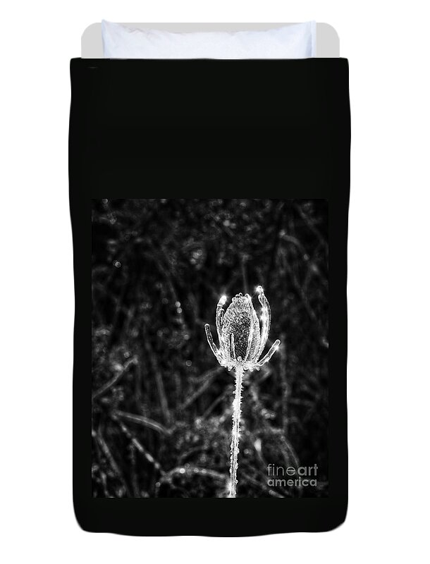 Thistle Duvet Cover featuring the photograph Icy Thistle in monochrome by Les Palenik