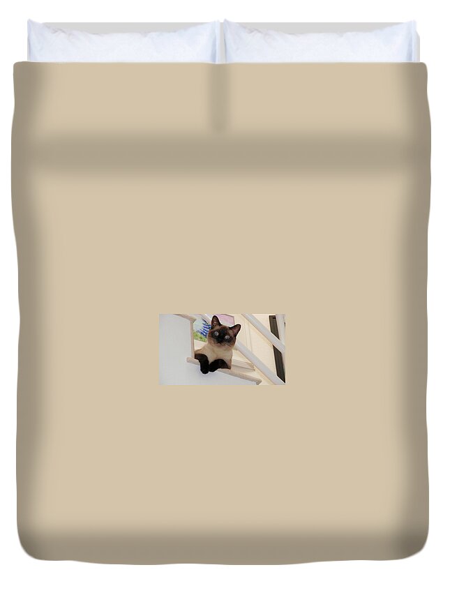 Siamese Duvet Cover featuring the photograph I'm Adorable by Jamie Frier