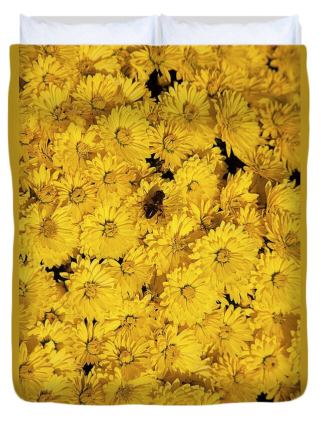 Chrysanthemum Duvet Cover featuring the photograph Image Filled With Yellow Chrysanthemum by Roel Meijer