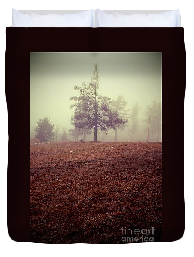 Tree Duvet Cover featuring the photograph Imperfection by Aimelle Ml