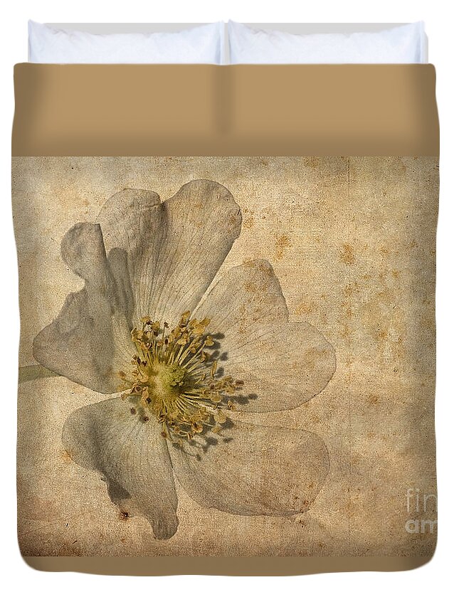 Dog Rose Duvet Cover featuring the photograph Impression by John Edwards
