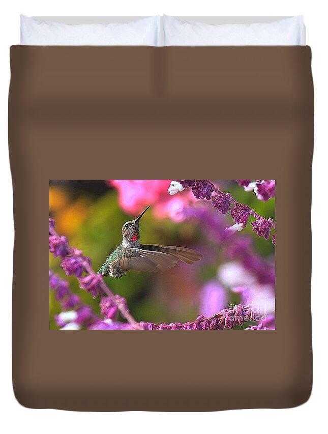 Hummingbird Duvet Cover featuring the photograph In Between Meals by Adam Jewell