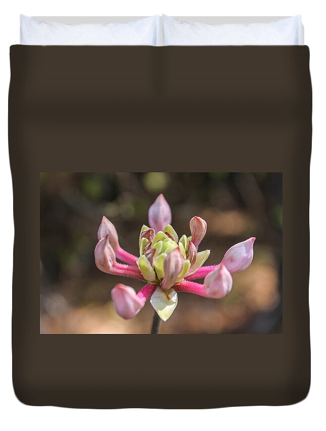 Plant Duvet Cover featuring the photograph In bloom by Jessica Brown