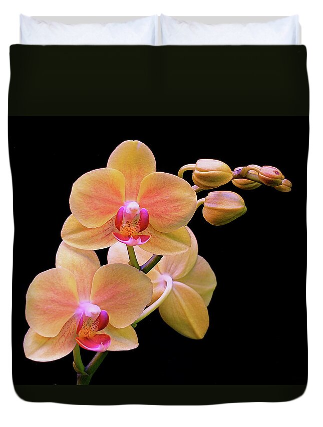 Orchid Duvet Cover featuring the photograph In Bloom by Rona Black