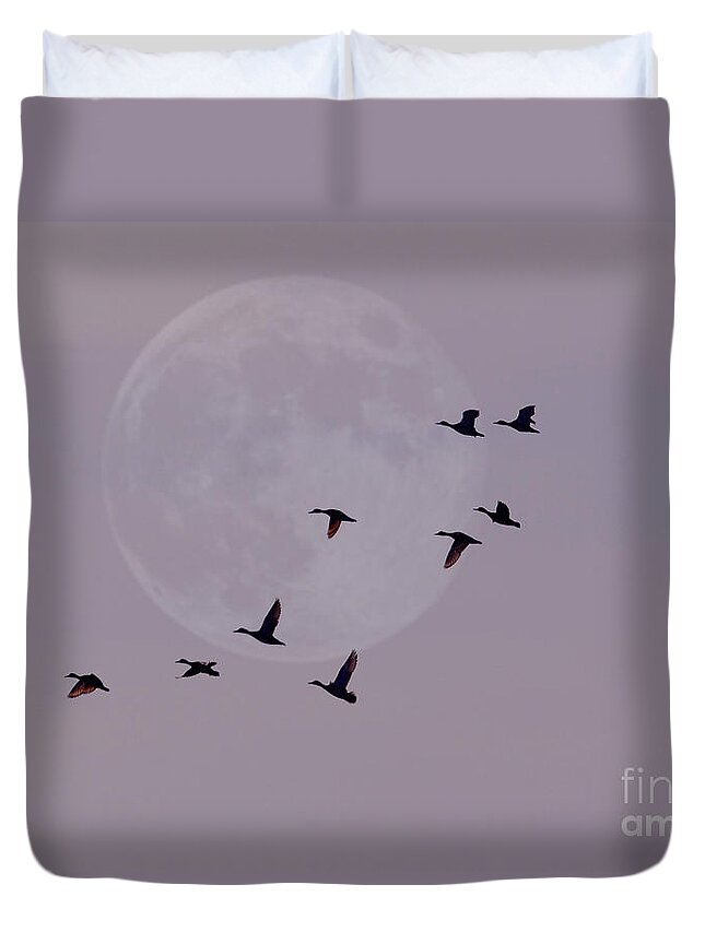 Birds Duvet Cover featuring the photograph In Competition With The Moon by Kathy Baccari