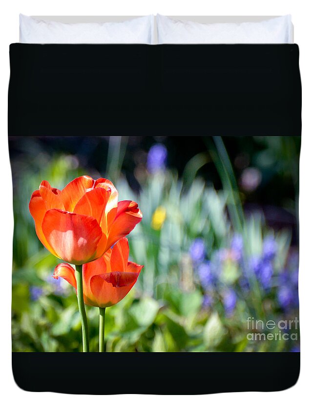 Flowers Duvet Cover featuring the photograph In The Garden by Kerri Farley