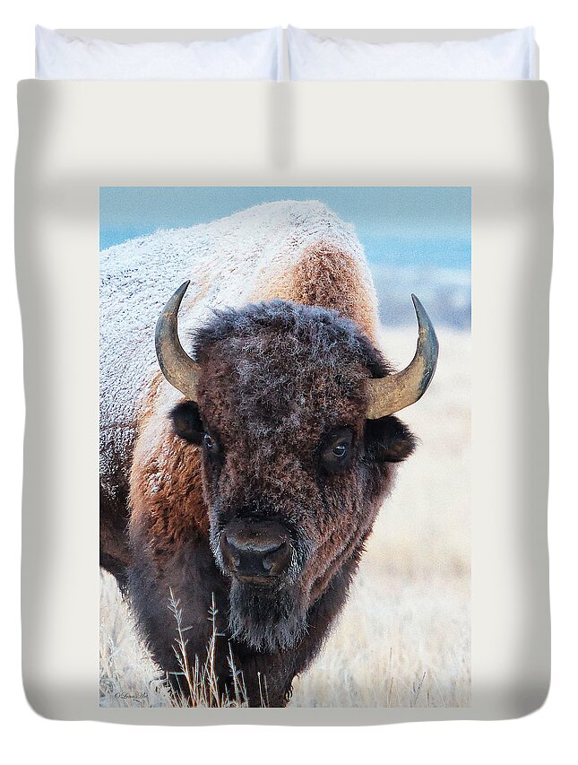 Olena Art Duvet Cover featuring the photograph IA snow-covered American bison roams in Yellowstone National Park and Arsenal Park, Colorado by OLena Art by Lena Owens - Vibrant Design