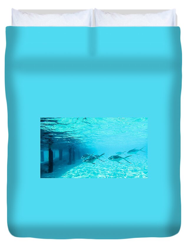 Animal Duvet Cover featuring the photograph In The Turquoise Water by Hannes Cmarits