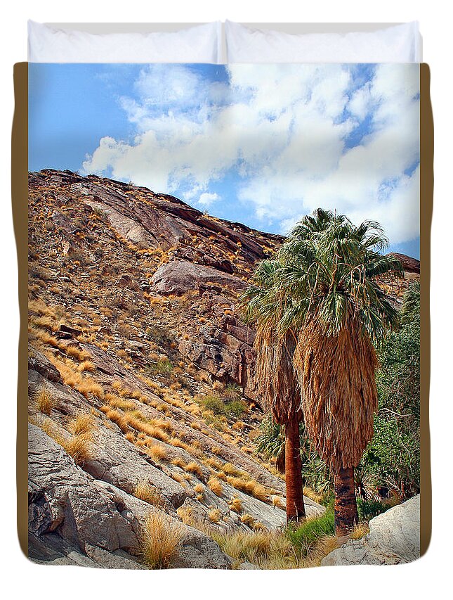 Landscape Duvet Cover featuring the photograph Indian Canyons View With Two Palms by Ben and Raisa Gertsberg
