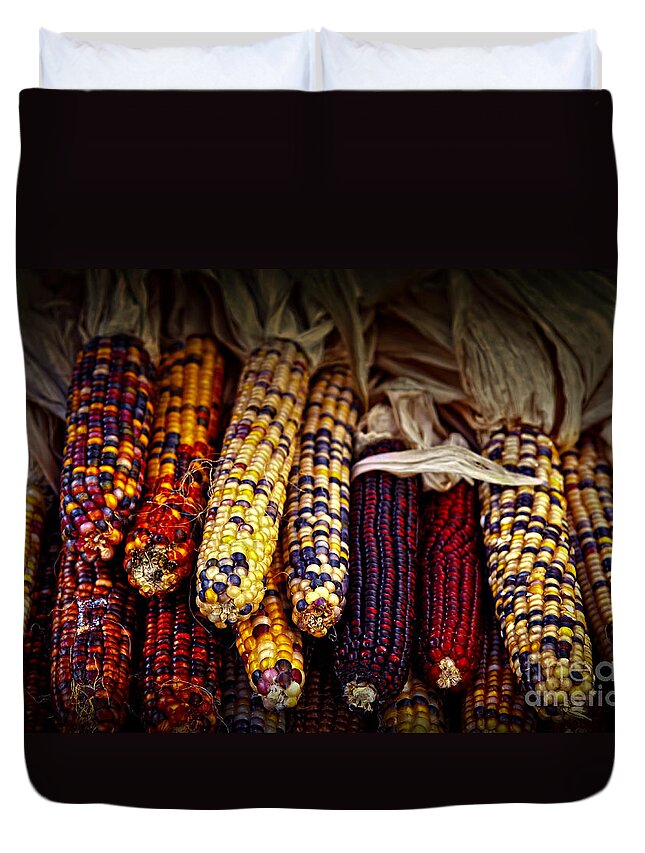 Corn Duvet Cover featuring the photograph Indian corn by Elena Elisseeva