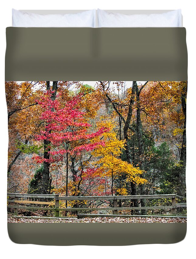 Indiana Duvet Cover featuring the photograph Indiana Fall Color by Alan Toepfer