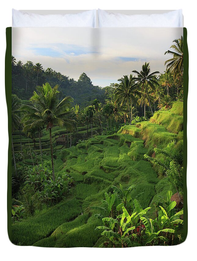 Tranquility Duvet Cover featuring the photograph Indonesia, Bali, Rice Fields Landscape by Michele Falzone