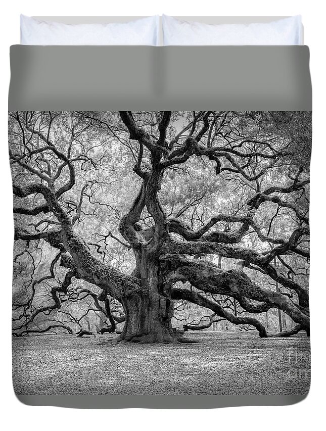 Angel Oak Duvet Cover featuring the photograph Infrared Angel Oak by Dale Powell